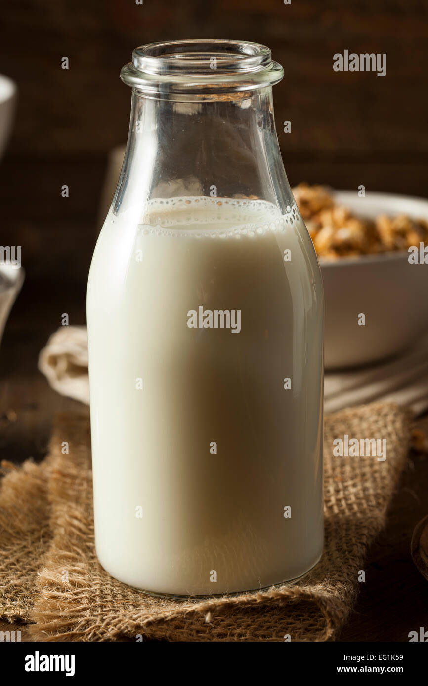 Organico rinfrescante bianco latte intero in una bottiglia Foto Stock