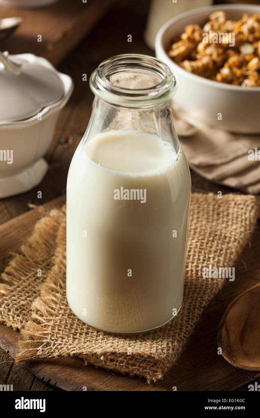 Organico rinfrescante bianco latte intero in una bottiglia Foto Stock