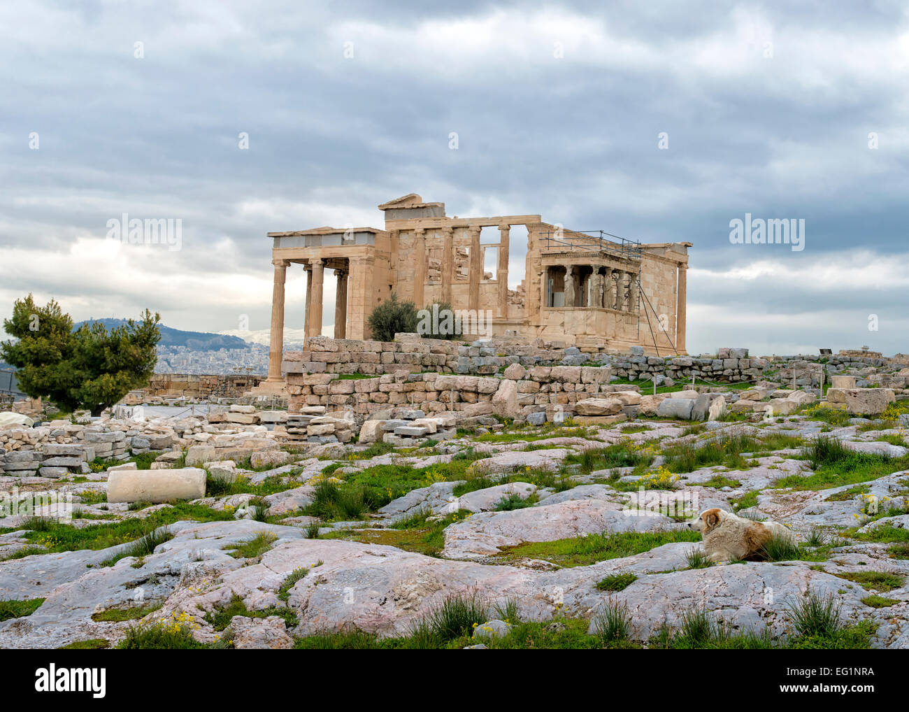Eretteo tempio greco sul lato nord dell'Acropoli di Atene, Grecia Foto Stock