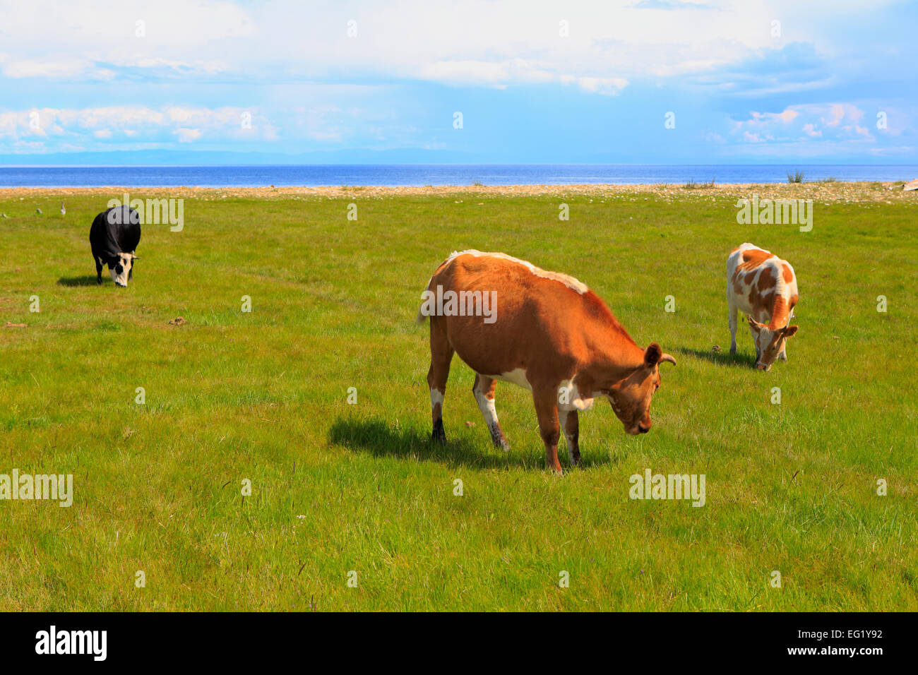 Olkhon island, Ugury, Lago Baikal, Russia Foto Stock