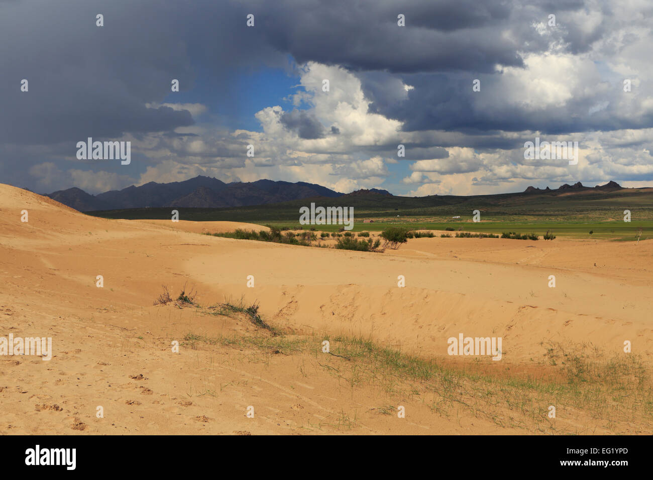 Els mongolo dune di sabbia, Tov provincia, Mongolia Foto Stock