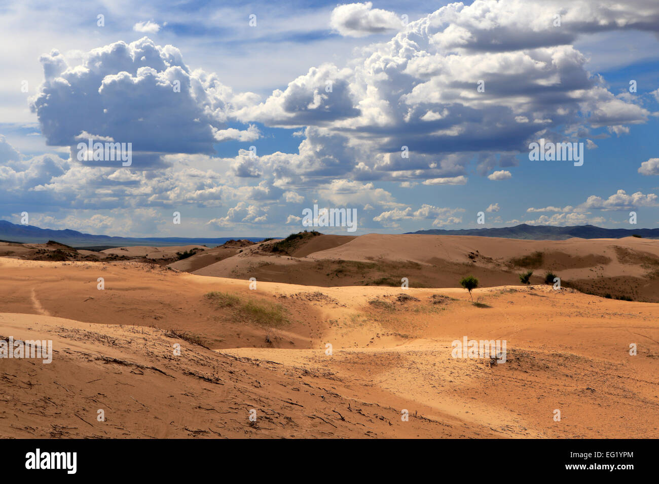 Els mongolo dune di sabbia, Tov provincia, Mongolia Foto Stock