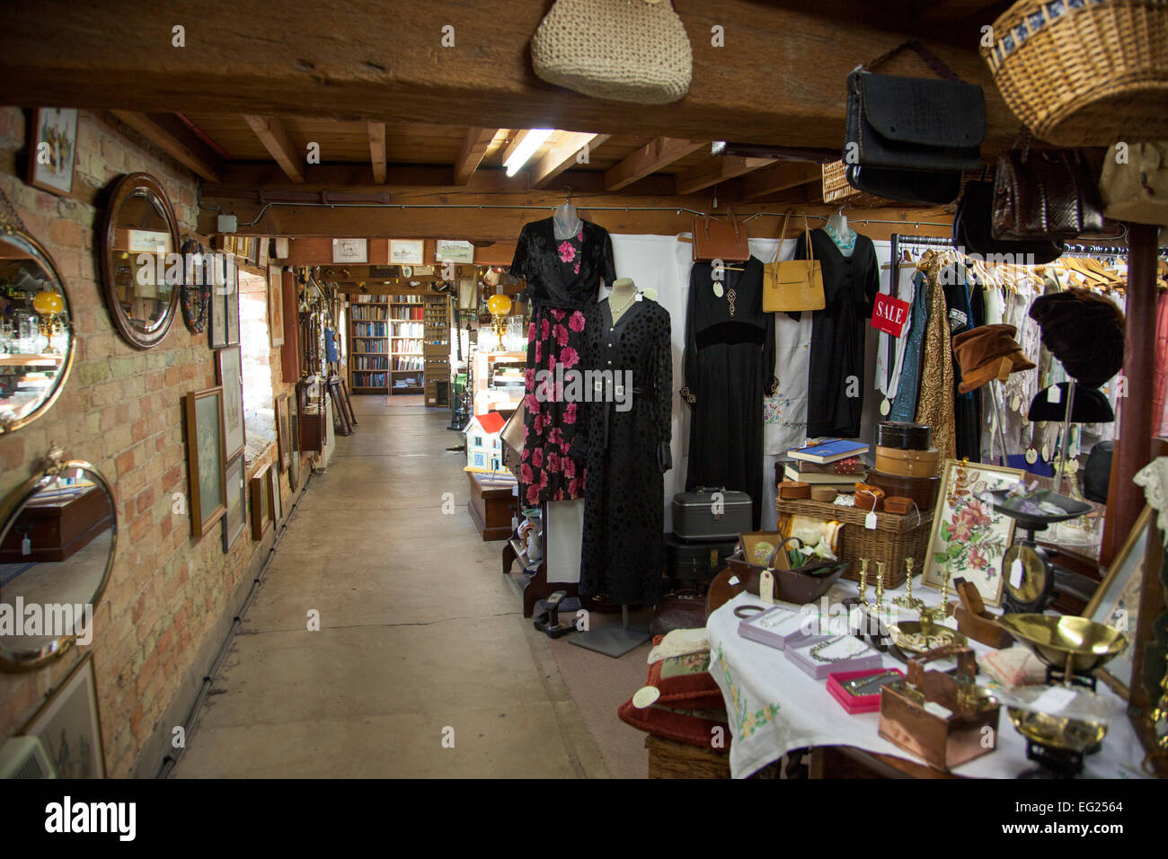 All'interno di un negozio di antiquariato - Waterside Centro Antico, Ely, Inghilterra Foto Stock