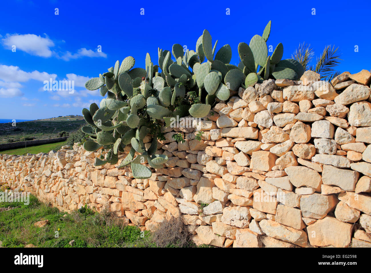 Mnajdra, tempio megalitico complesso, Malta Foto Stock
