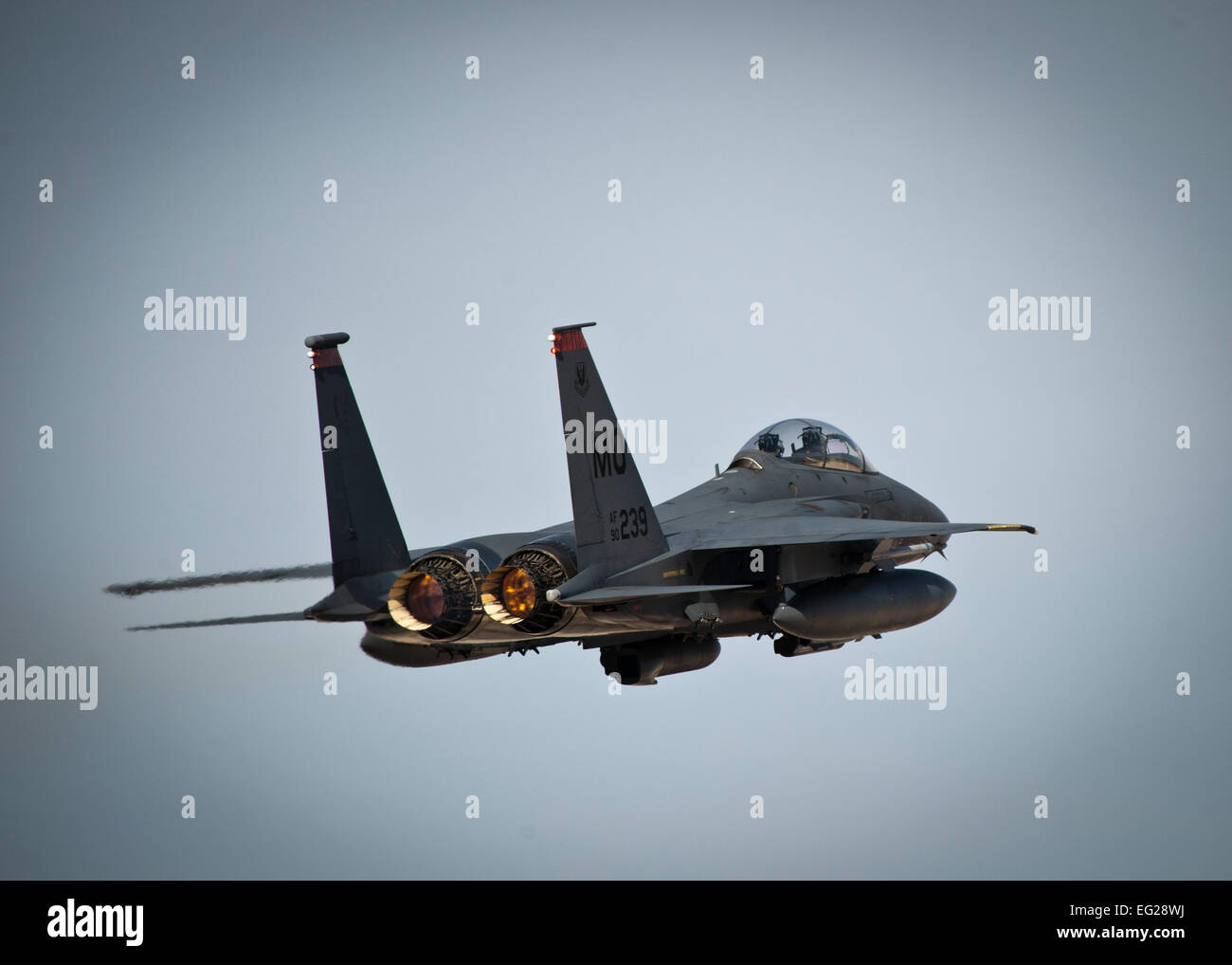 Un F-15E Strike Eagle assegnato al 391 Fighter Squadron a Montagna Home Air Force Base, Idaho, decolla durante la bandiera rossa 14-1 a Nellis AFB, Nev. Il 414th Combat Training Squadron il personale conduce la pianificazione conferenze dove rappresentanti dell'unità di pianificazione e i membri dello staff di sviluppare la dimensione e la portata della loro unità la partecipazione a bandiera rossa. Tutti gli aspetti dell'esercizio, compresi all'accantonamento di organi di servizio, trasporto alla Nellis AFB, gamma coordinamento, artiglieria e munizioni di pianificazione e sviluppo di scenari di addestramento sono progettati per essere il più realistico possibile, completamente exer Foto Stock