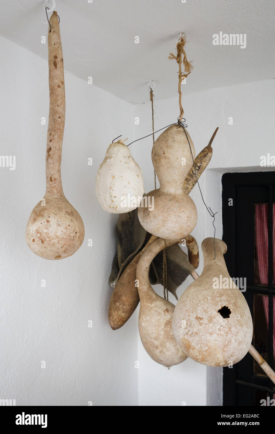 Essiccato zucche vintage in mostra presso il Museo Etnologico Mijas, Andalusia, Spagna. Foto Stock