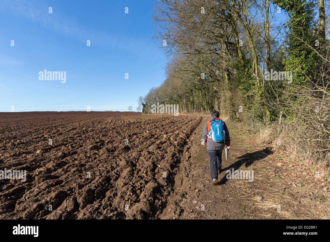 Walker seguendo il sentiero accanto a bordo del campo arato, St Briavels, Gloucestershire, England, Regno Unito Foto Stock