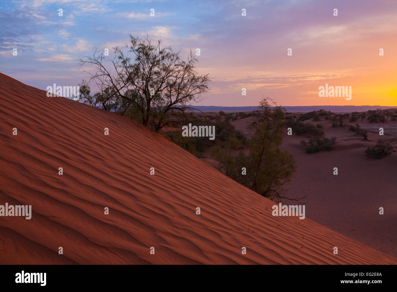 Sunrise nel deserto del Sahara dune vicino a M'Hamid, Marocco Foto Stock