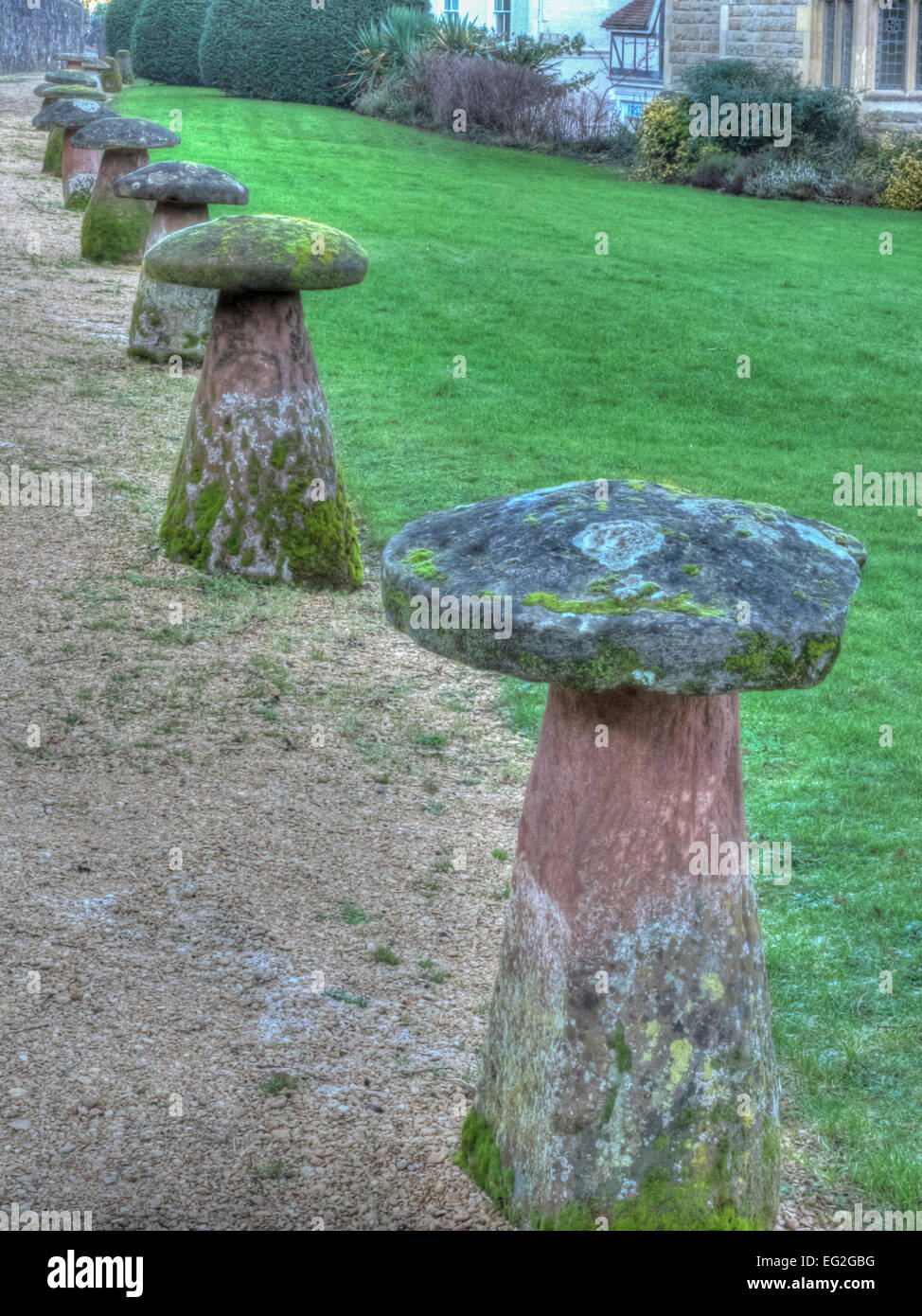 50 Funghi Finti In Resina Rossi - Mini Decorazioni Da Giardino Fatato - 2 Cm - Per Terrari E Paesaggi In Miniatura