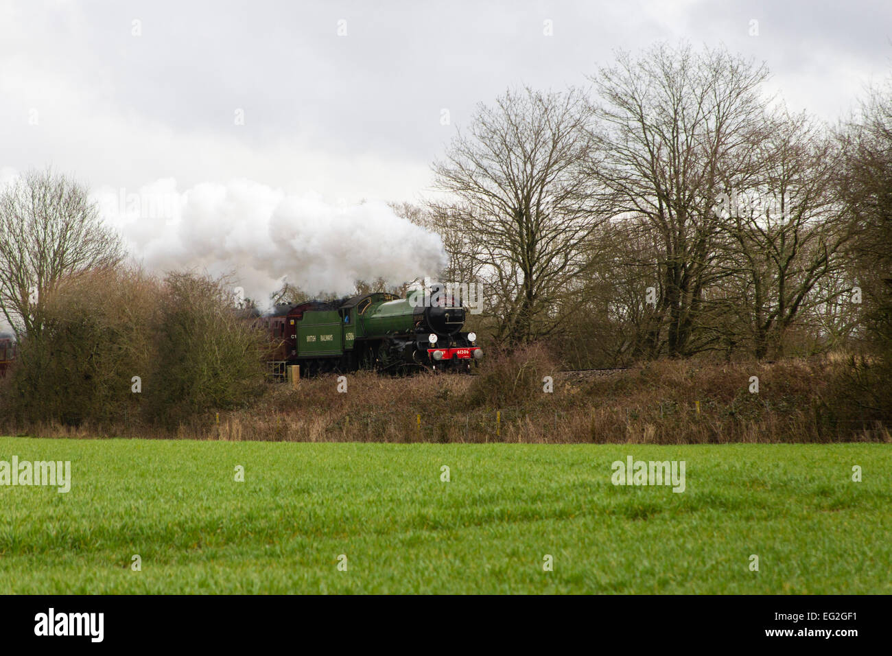B1 classe locomotore 61306 Mayflower cale le cattedrali Express il giorno di San Valentino pranzo circolare attraverso il bordo meridionale del Surrey Hills sul suo modo di Haslemere. Foto Stock