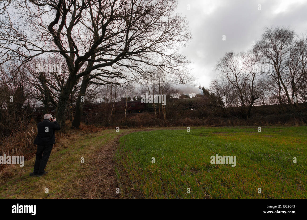B1 classe locomotore 61306 Mayflower cale le cattedrali Express il giorno di San Valentino pranzo circolare attraverso il bordo meridionale del Surrey Hills sul suo modo di Haslemere catturata da un appassionato. Foto Stock