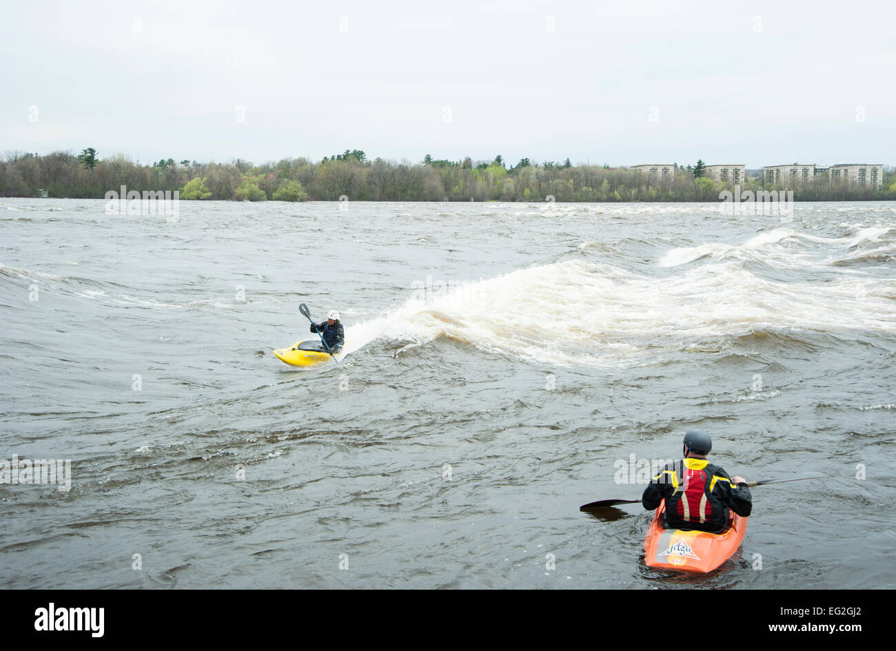 Whitewater kayak sul fiume su onde stazionarie in Ottawa, Fiume, Ottawa, Ontario, Canada Foto Stock