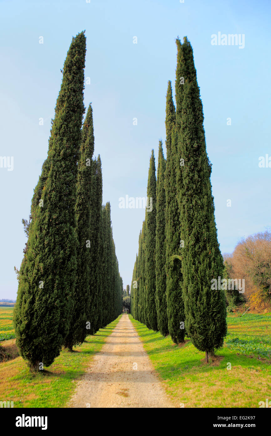 Villa Adriana (Villa Adriana), Tivoli, Lazio, Italia Foto Stock