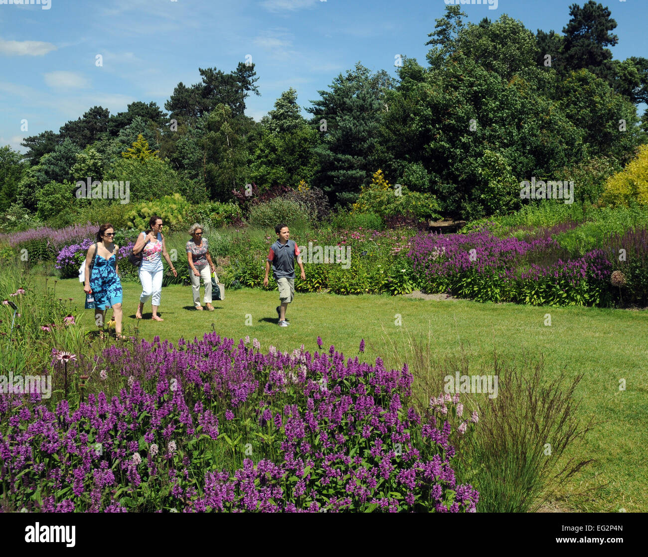 La Reale Società Hoticultural garden at Wisley, Surrey Foto Stock