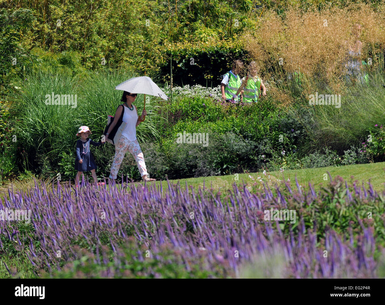 Il Royal Horticultural Society Gardens at Wisley, Surrey Foto Stock