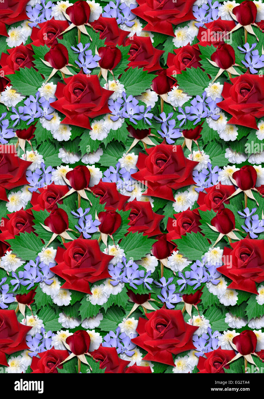 Lo sfondo da un mazzo di rose rosse con gli astri e pervinca Foto Stock