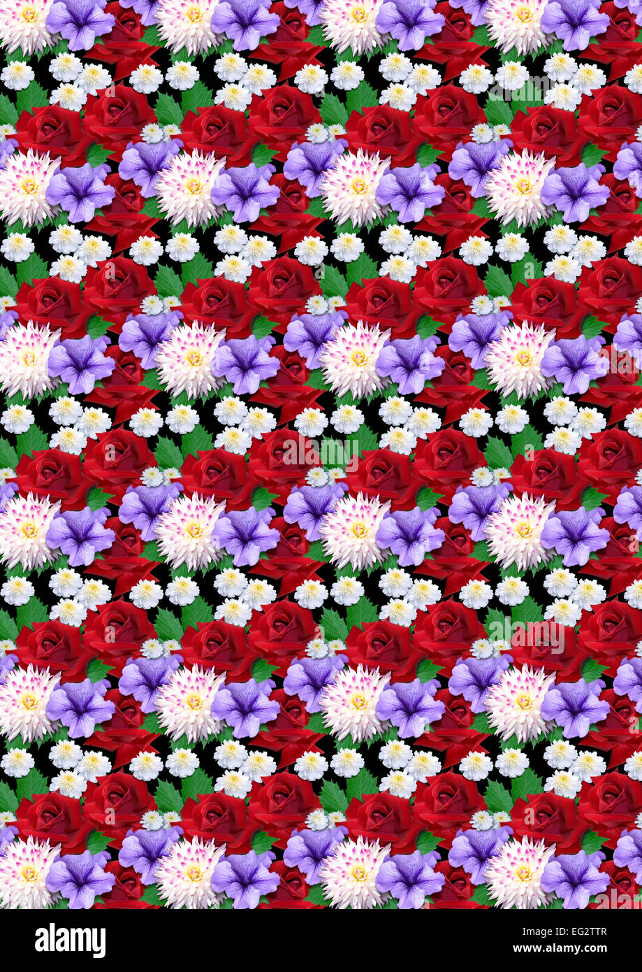 Motley seamless sfondo con rose dalie aestri Foto Stock