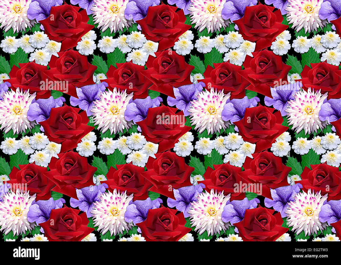 Orizzontale sfondo senza giunture con rose dalie aestri Foto Stock