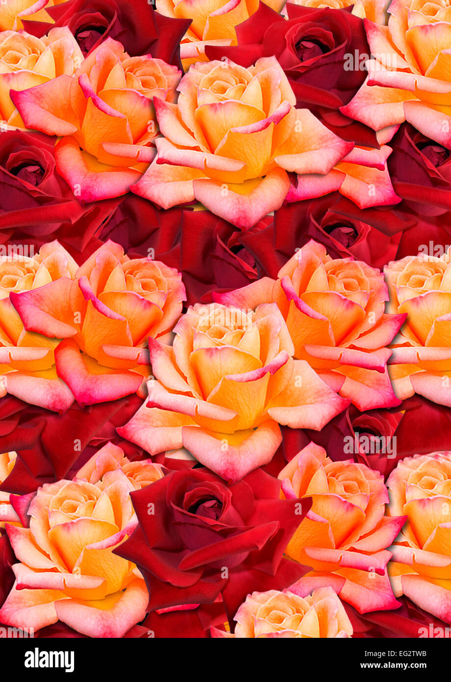 Sfondo dall'sparsi in modo casuale, giallo e rose rosse Foto Stock