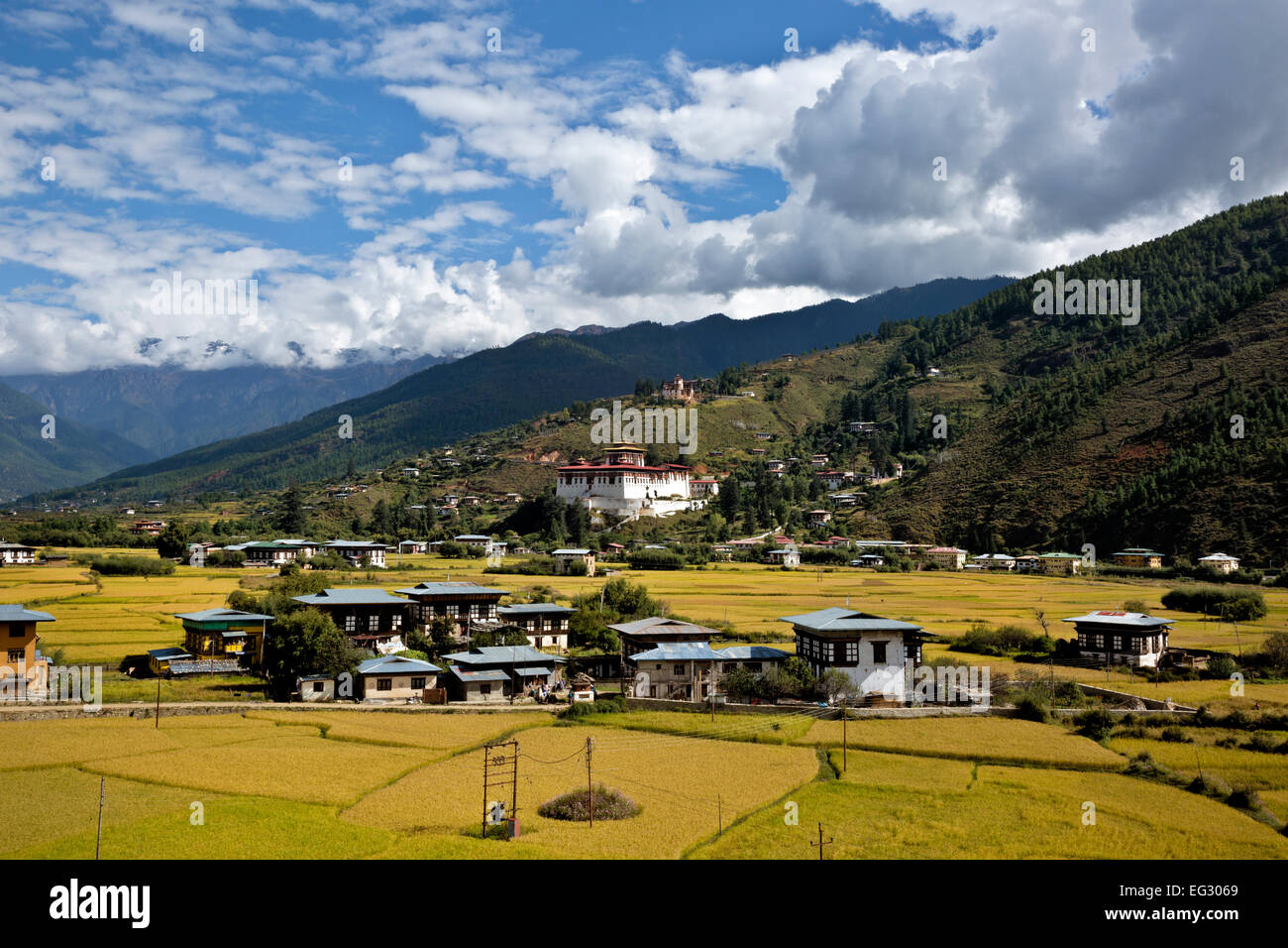 Il Bhutan - Agriturismo riempire i campi di terra di livello mentre Paro Dzong e il Museo Nazionale sono situati sulla collina sopra la città di Paro. Foto Stock