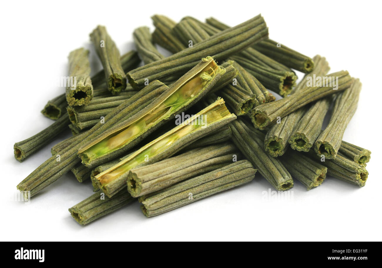Essiccato Moringa Oleifera su sfondo bianco Foto Stock
