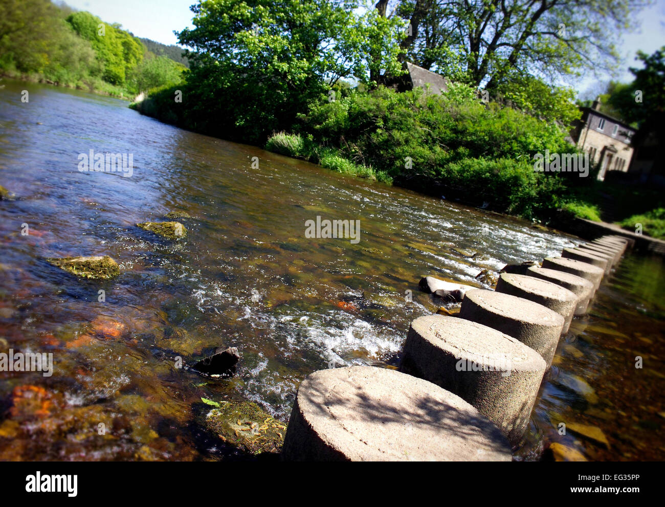 Pietre miliari sul fiume Coquet a Rothbury, Northumberland Foto Stock