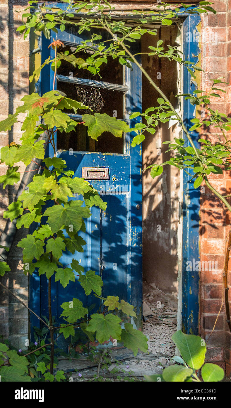 Portale abbandonati rami sovradimensionate Foto Stock
