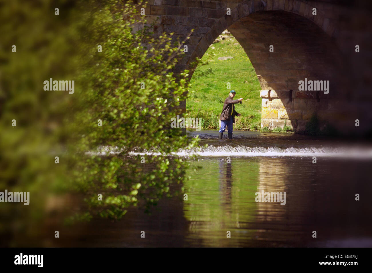 Pescatore al ponte sul fiume Coquet, Paperhaugh vicino a Rothbury, Northumberland Foto Stock