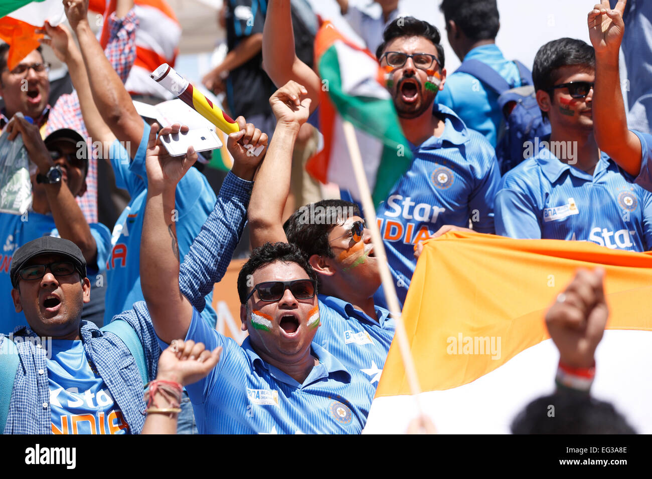 Indiano tifosi di cricket tifo il team indiano durante una partita di cricket Foto Stock