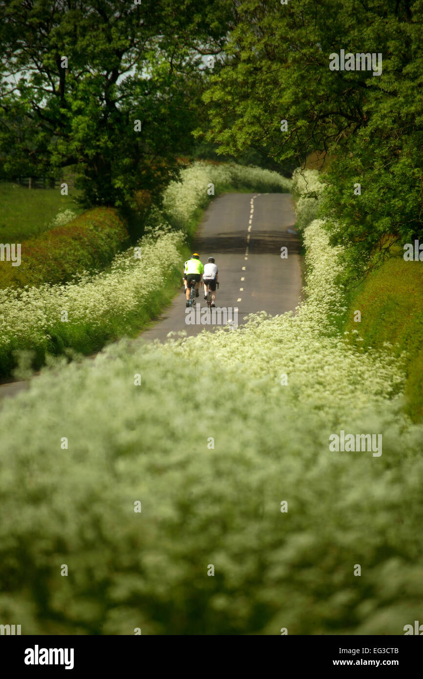 I ciclisti su Northumberland Road Foto Stock