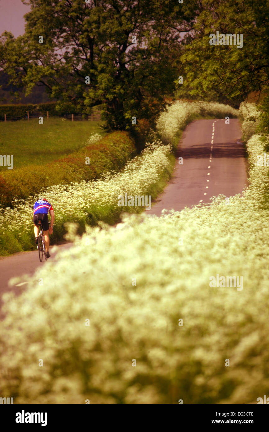 I ciclisti su Northumberland Road Foto Stock
