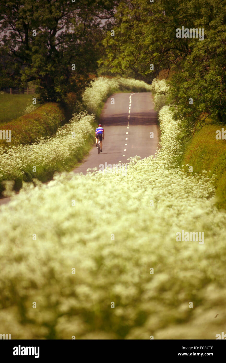 I ciclisti su Northumberland Road Foto Stock