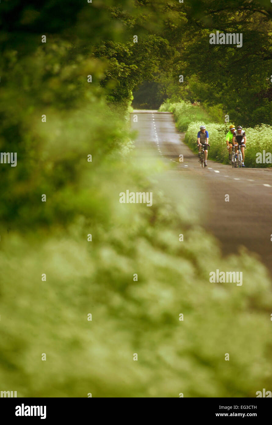 I ciclisti su Northumberland Road Foto Stock