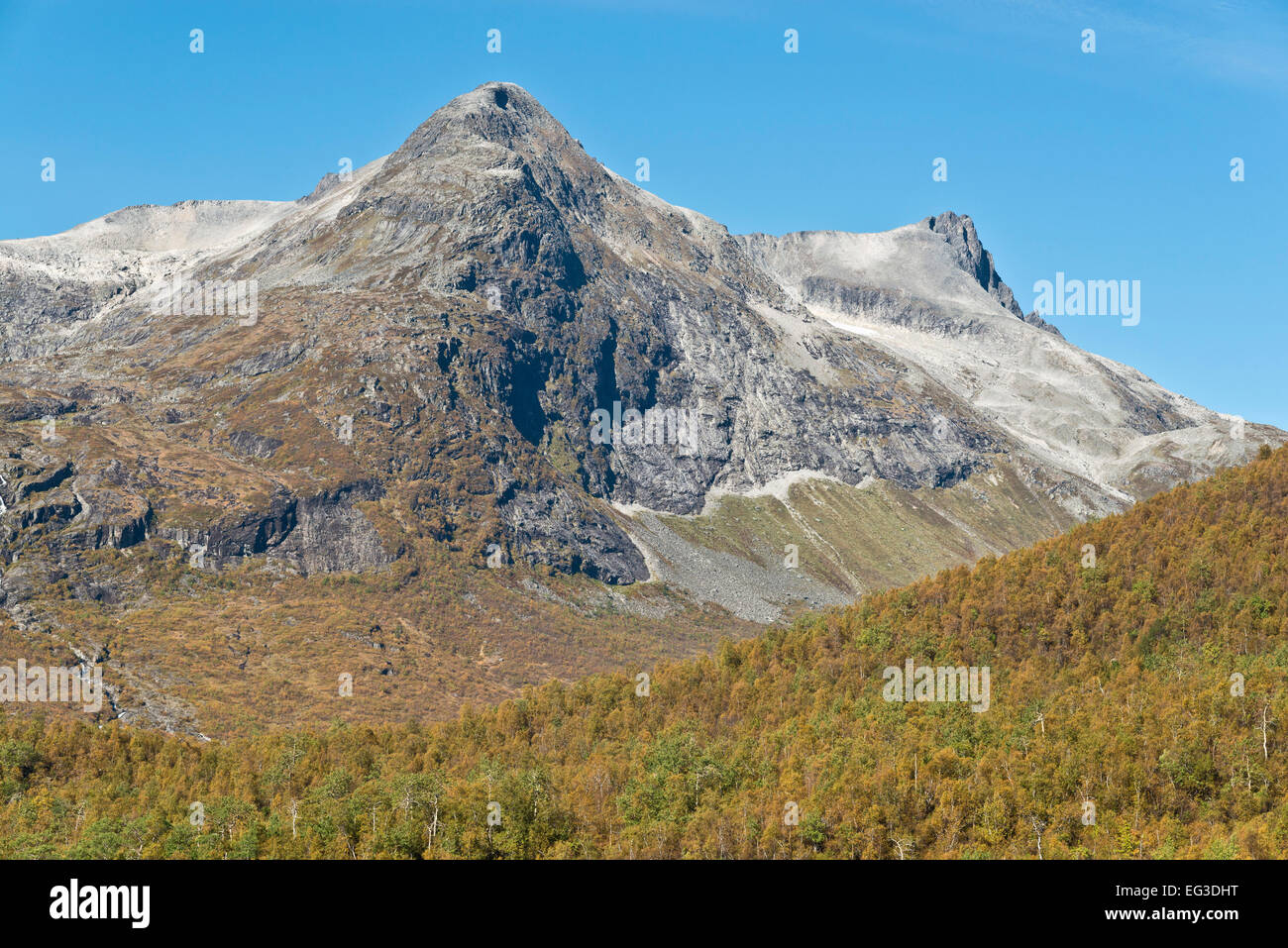 La gamma della montagna valle Valldal, valle a sud della strada turistica Trollstigen, autunno, betulle, Møre og Romsdal, Norvegia Foto Stock