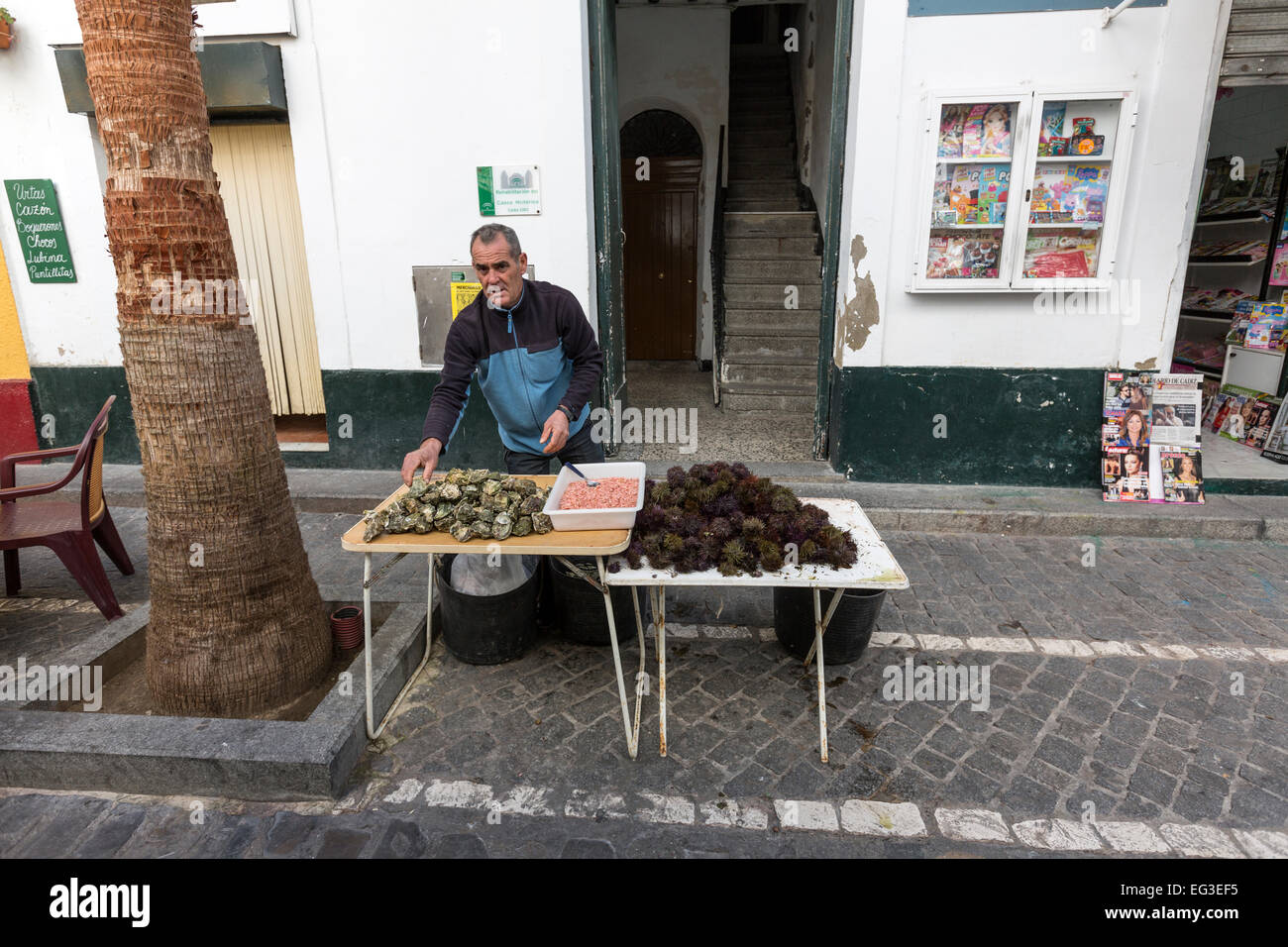 Ricci di mare, gamberi e Ostrica sono venduti in un venditore ambulante di Cadiz. Prima tipico Carnevale. Foto Stock