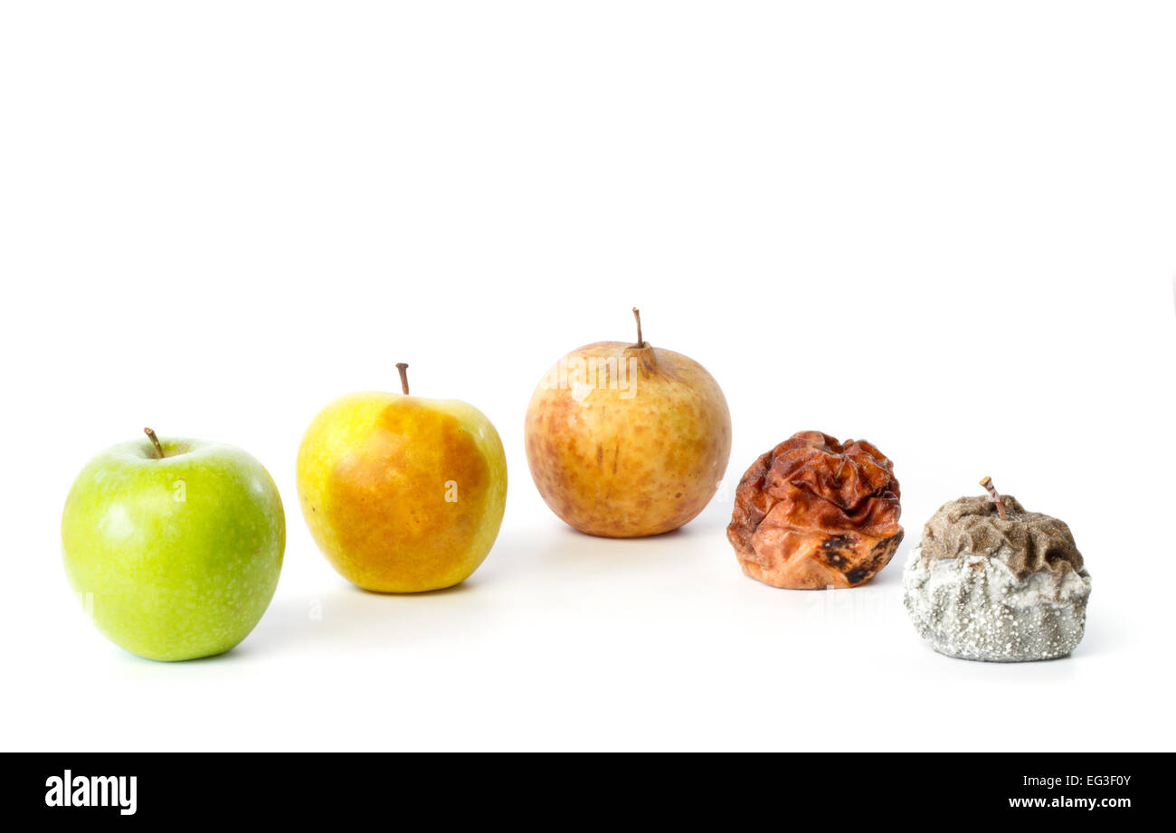 Cinque mele in diversi stadi di decadimento contro uno sfondo bianco Foto Stock
