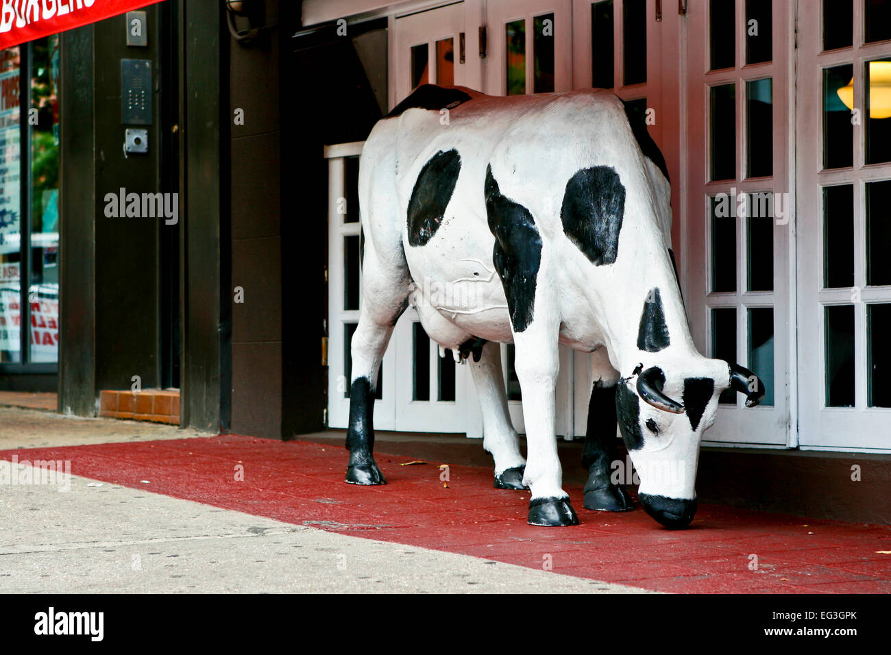 Una mucca artificiale a grandezza naturale fuori da un ristorante a Brooklyn, New York, NY, USA. Strano Foto Stock