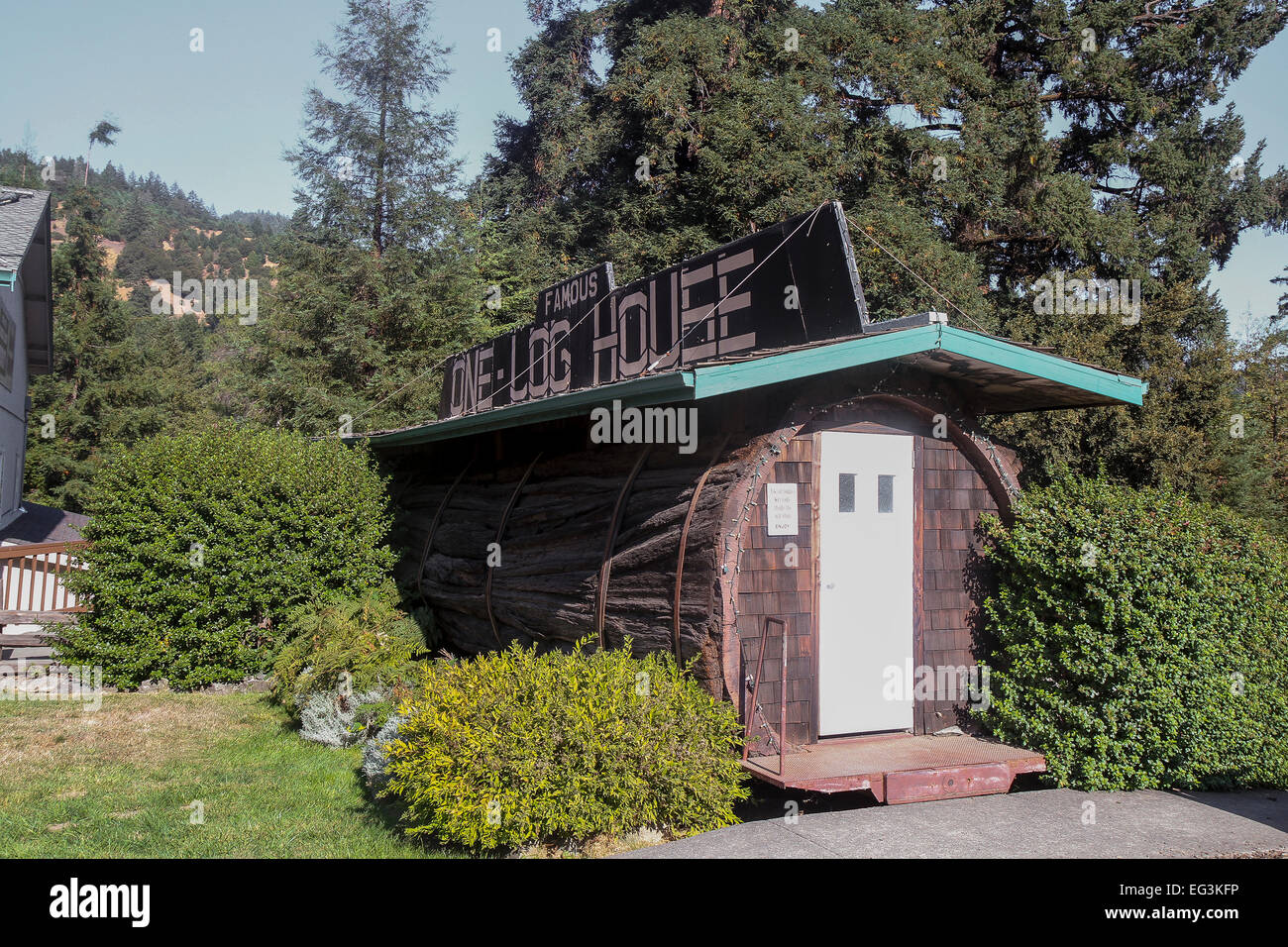 Il One-Log House è stato creato nel 1946 da un albero di sequoia che era oltre 2100 anni. Garberville, California, Stati Uniti Foto Stock