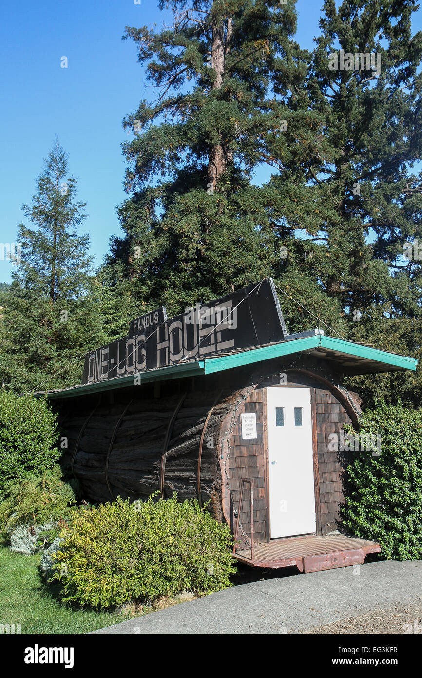 Il One-Log House è stato creato nel 1946 da un albero di sequoia che era oltre 2100 anni. Garberville, California. Foto Stock