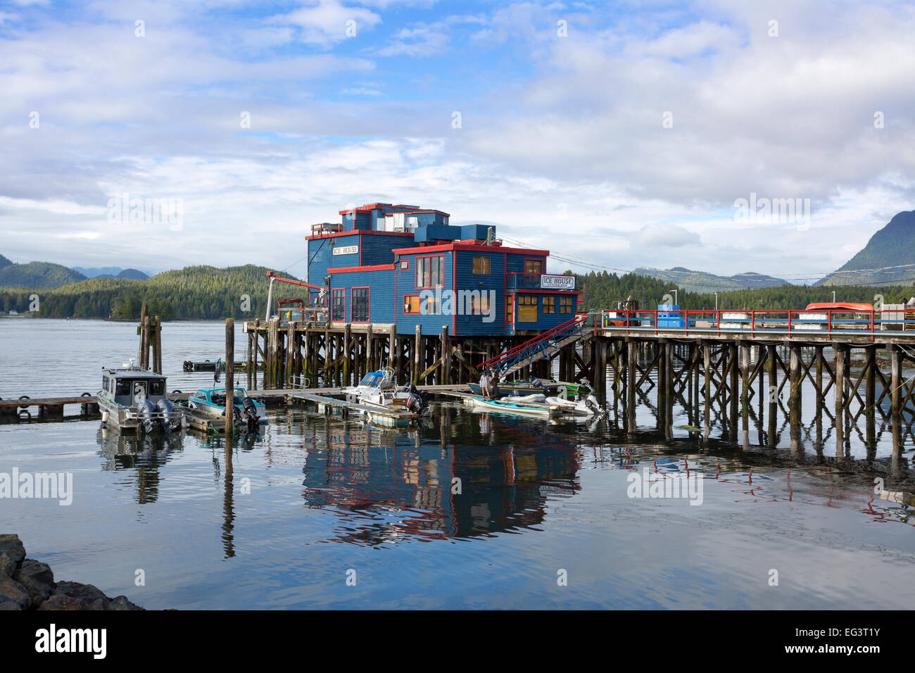 America del nord, Canada, British Columbia, l'isola di Vancouver, Tofino, Ice House Bar Oyster Foto Stock