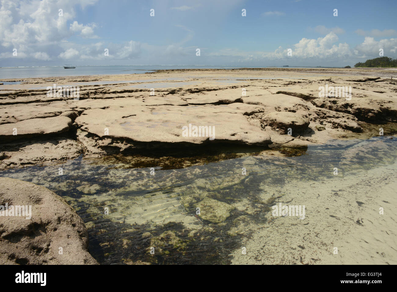 Il bordo della scogliera di corallo con la marea a Turtle Bay nei pressi di Watamu in Kenya, Africa orientale con pool di marea a bassa marea Foto Stock