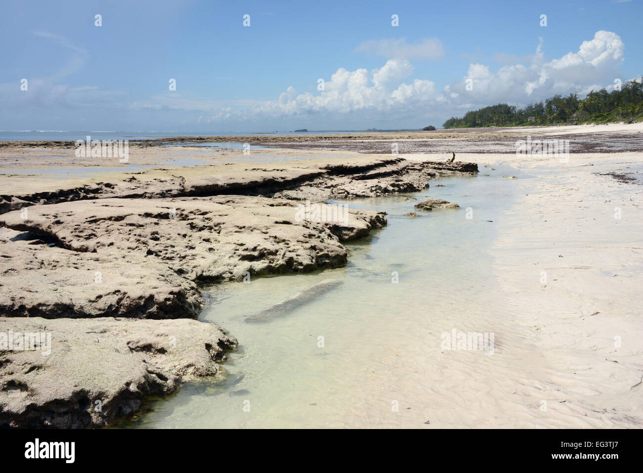 Il bordo della scogliera di corallo con la marea a Turtle Bay nei pressi di Watamu in Kenya, Africa orientale Foto Stock