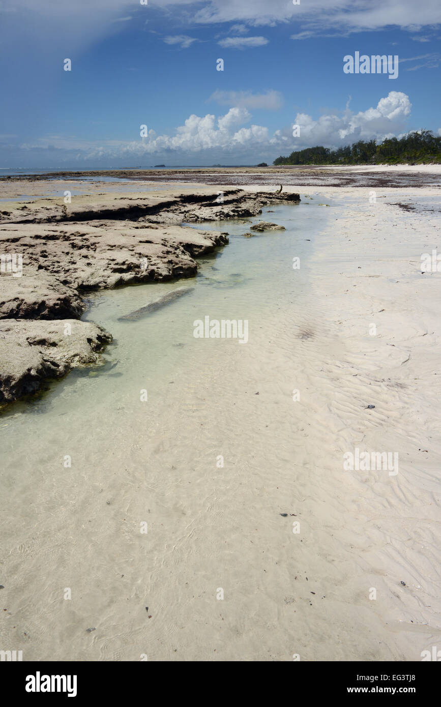 Il bordo della scogliera di corallo con la marea a Turtle Bay nei pressi di Watamu in Kenya, Africa orientale Foto Stock