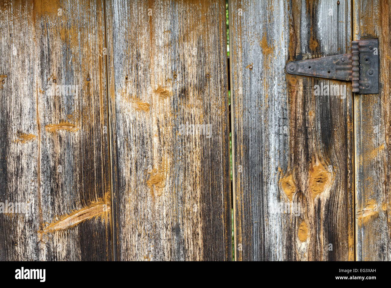 Dettaglio della trama di una vecchia porta di legno, close up Foto Stock