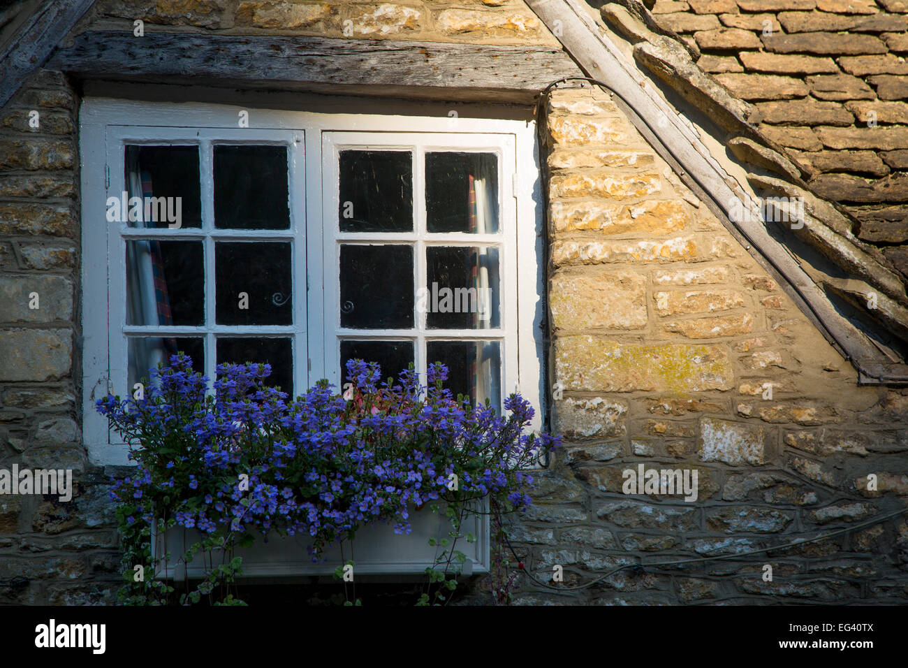 Finestra e cassetta per fiori su un cottage casa a Castle Combe, il Costwolds, Wiltshire, Inghilterra, Regno Unito Foto Stock