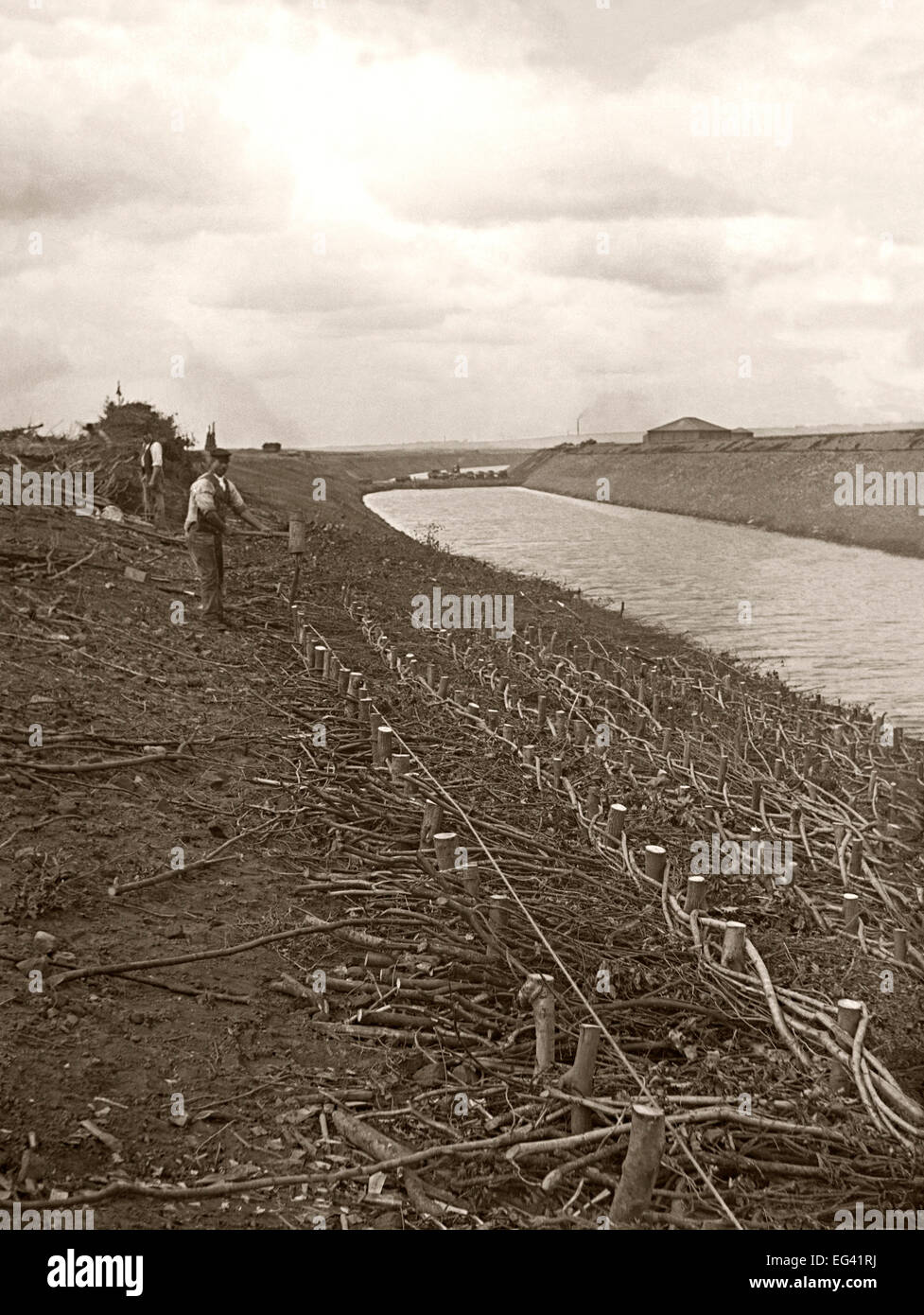 Lavoratori a Holpool facendo 'fascine' (anti-erosione) il lavoro sulle rive del Manchester Ship Canal, Lancashire, Inghilterra REGNO UNITO c.1890 Foto Stock