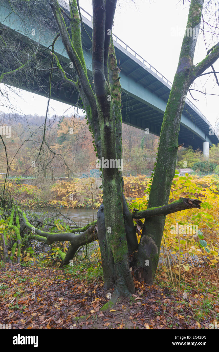 Sonnborner Kreuz, Wuppertal Foto Stock