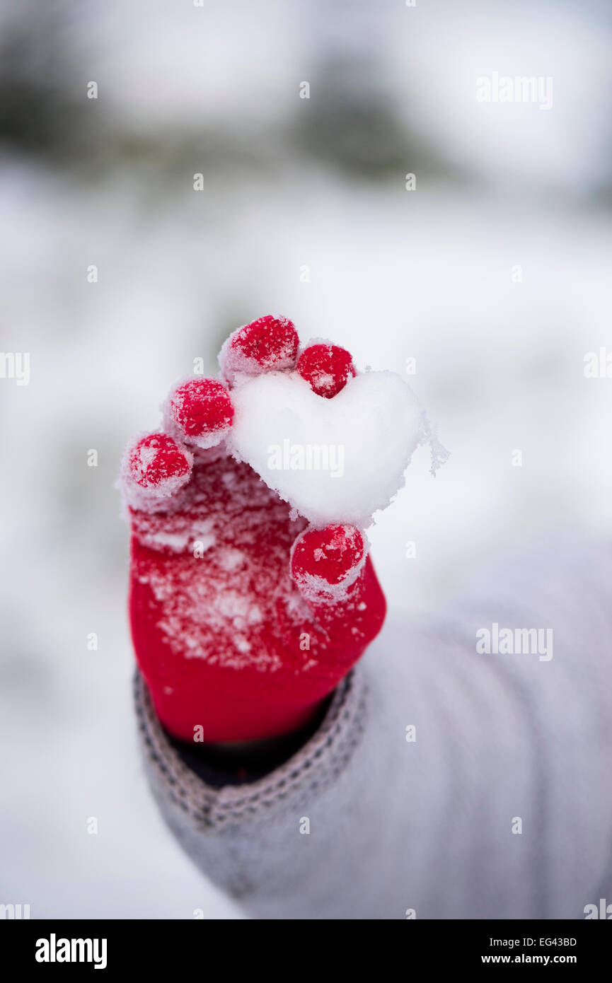 Guanti rossi tenendo un cuore fatto da neve Foto Stock