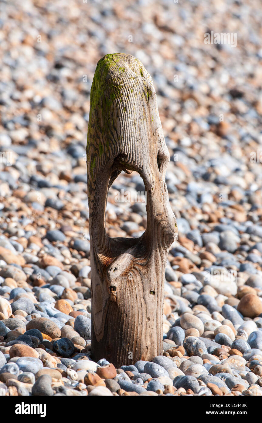 Driftwood sulla spiaggia di Hastings Foto Stock