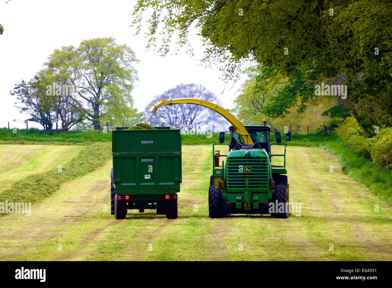John Deere 7450 Foraggere semoventi e Bailey meccanica del rimorchio di insilato. Foto Stock